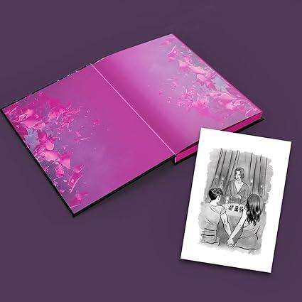 Never Never Collectors Edition  Hardcover