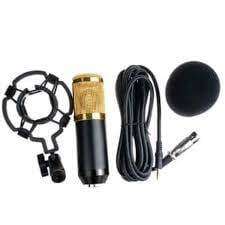 Professional Condenser Studio Microphone - Gold