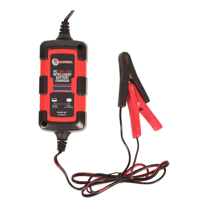 Intelligent Battery Charger 12 V