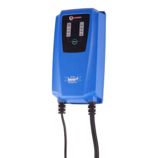 DC 12V 15A Intelligent Battery Charger Accessory Set (01.81.150?