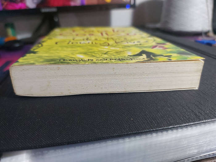 Like The Flowing River by Paulo Coelho