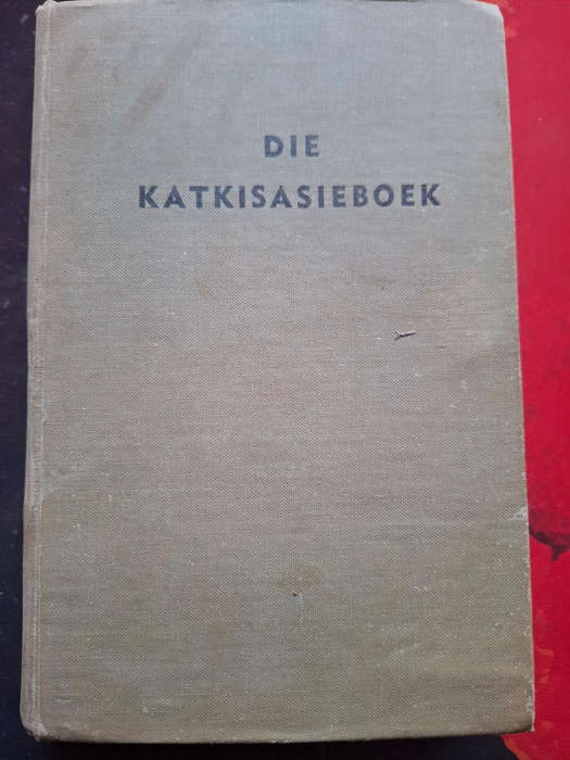 Die katkisasieboek