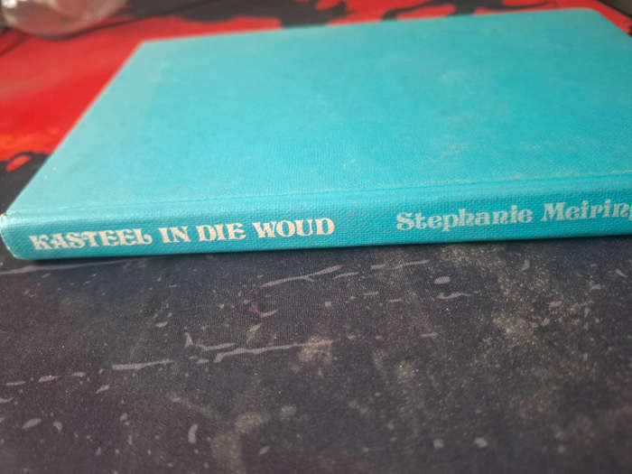 Stephanie Meiring - Kasteel in die woud