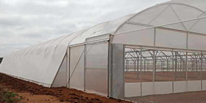 Greenhouse Plastic 7.5m x10m