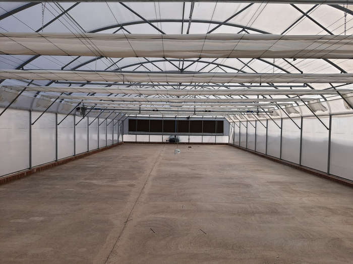 Greenhouse Plastic 7.5m x10m