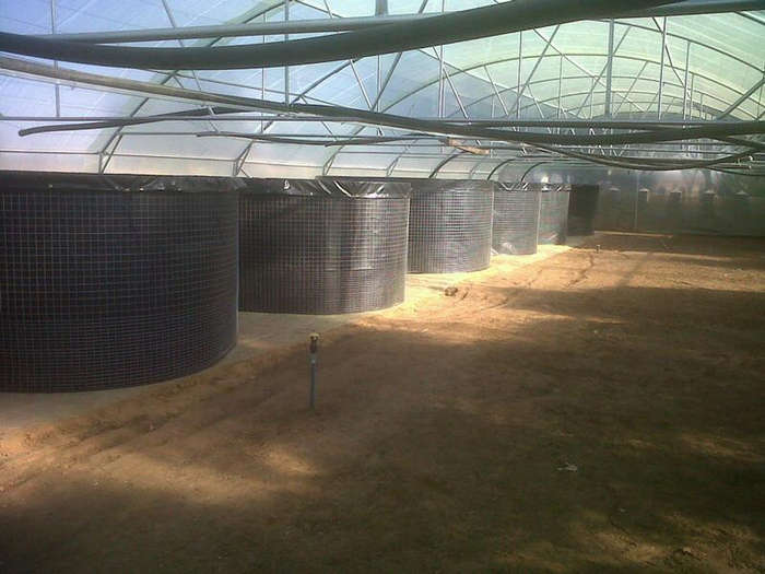 7700 Liter Welded Mesh Reinforced 800g PVC Liner Fish Tank