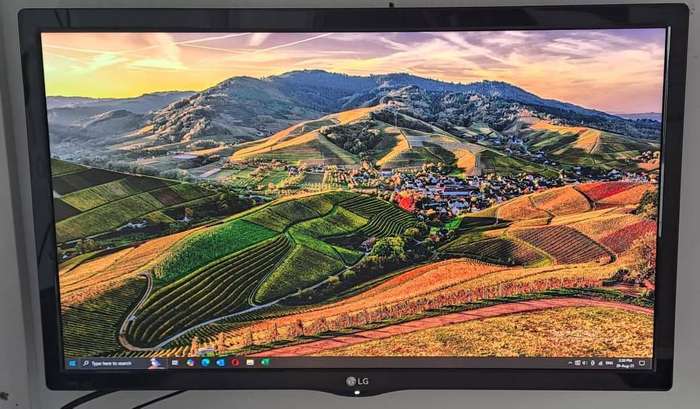 LG 24" Monitor