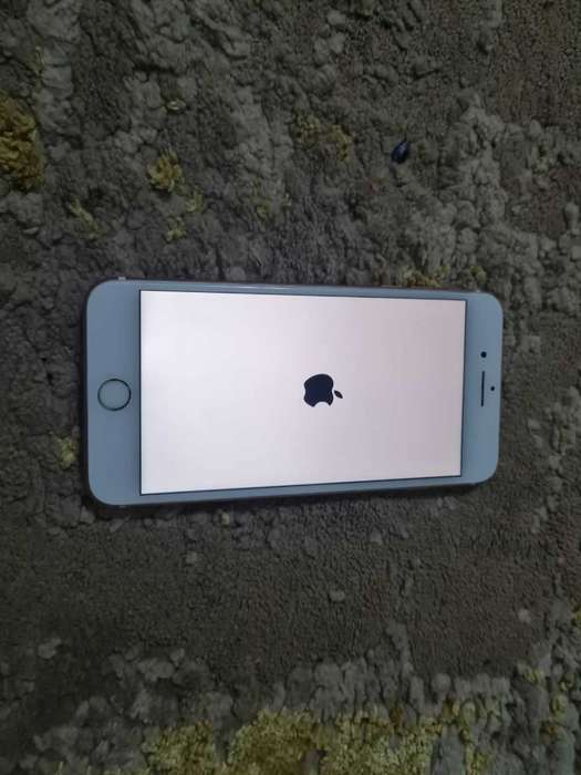 IPhone 7 Plus