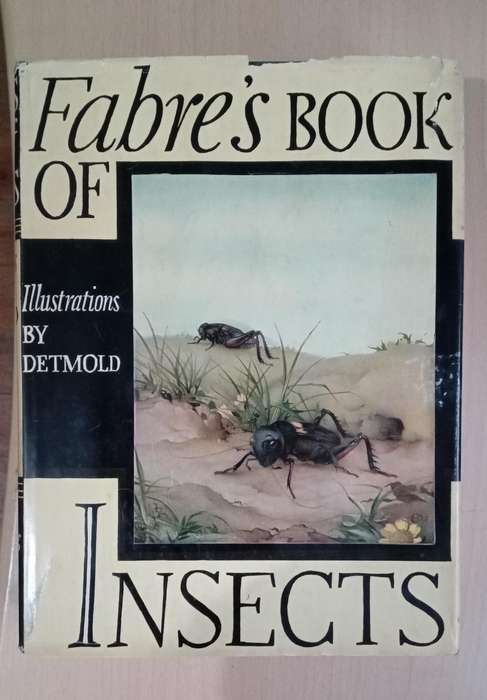 Fabre's Book of Insects 1936 E J Detmold Tipped-In Illustrated Plates