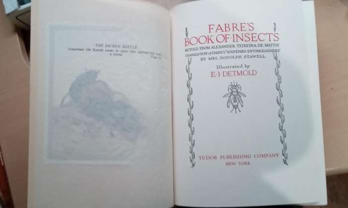 Fabre's Book of Insects 1936 E J Detmold Tipped-In Illustrated Plates