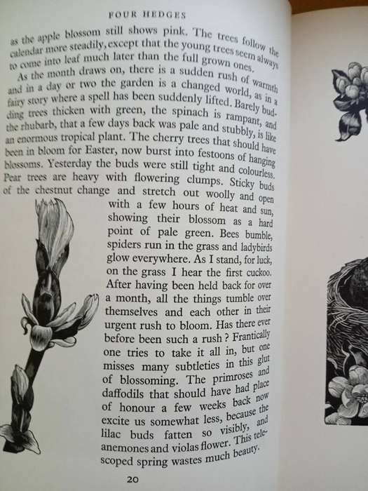 Four Hedges:  Clare Leighton 1935 1st Edition-A Gardener's Chronicle With 88 Wood Engravings