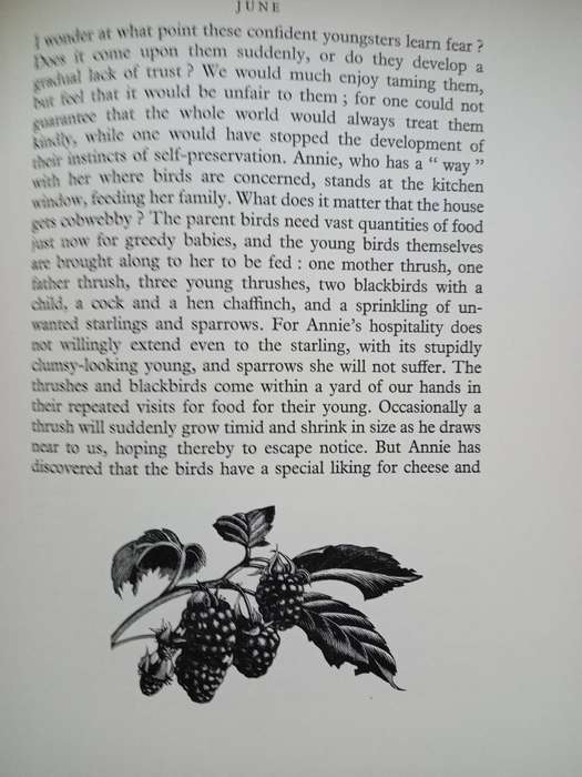 Four Hedges:  Clare Leighton 1935 1st Edition-A Gardener's Chronicle With 88 Wood Engravings