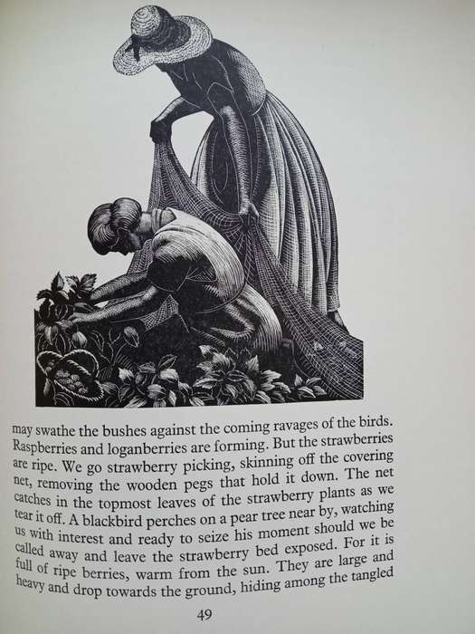 Four Hedges:  Clare Leighton 1935 1st Edition-A Gardener's Chronicle With 88 Wood Engravings