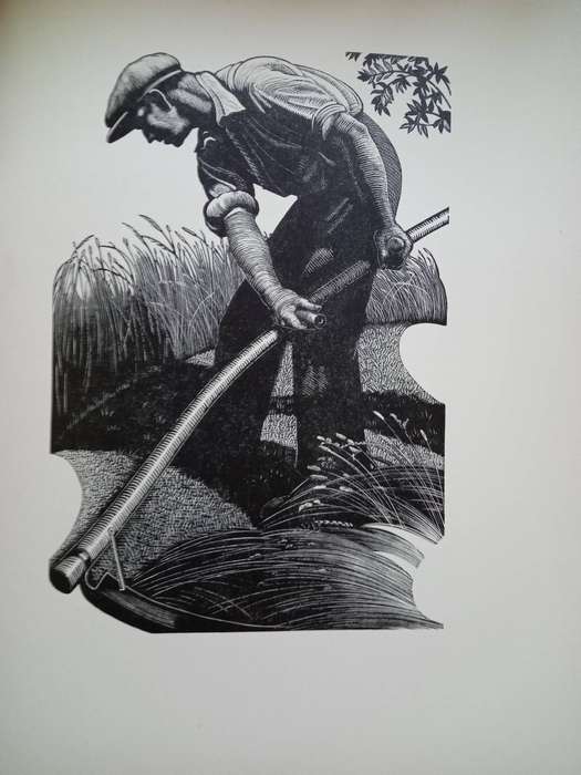 Four Hedges:  Clare Leighton 1935 1st Edition-A Gardener's Chronicle With 88 Wood Engravings