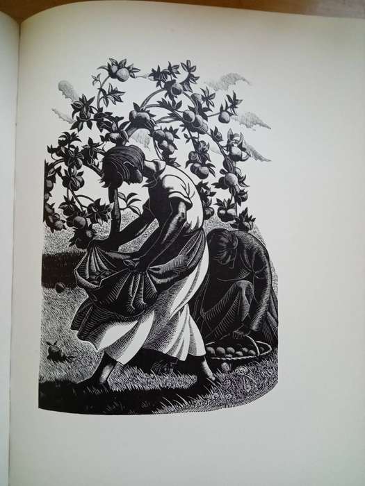 Four Hedges:  Clare Leighton 1935 1st Edition-A Gardener's Chronicle With 88 Wood Engravings