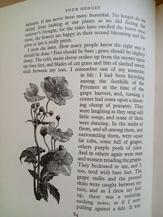 Four Hedges:  Clare Leighton 1935 1st Edition-A Gardener's Chronicle With 88 Wood Engravings