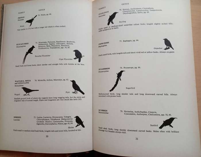 The Birds Around Us: The commoner birds of Southern Africa By G J Broekhuysen