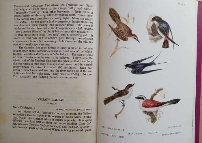 Longman's Field Handbook Common Migrants by J.M. Winterbottom