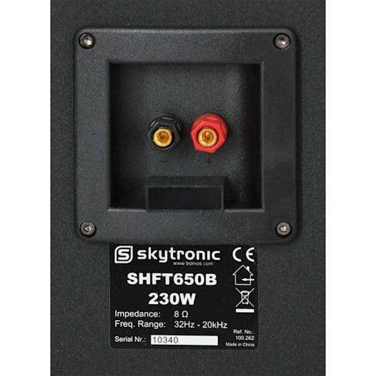 Fenton SHFT650B Floor-Standing Speakers