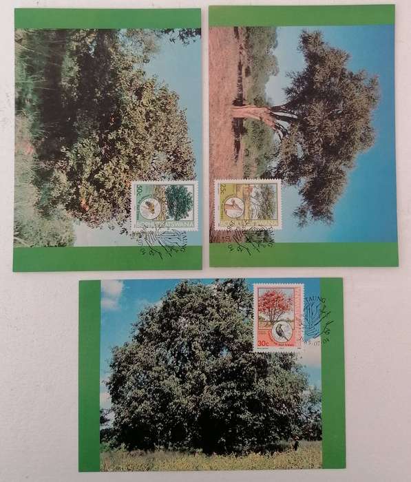 Bophuthatswana Maxi Cards  23 to 25