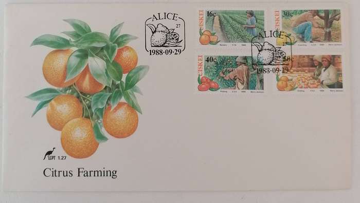Ciskei 1.27 FDC