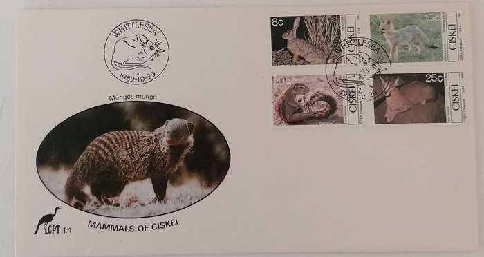 Ciskei 1.4 FDC