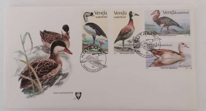 Venda 2.5 FDC