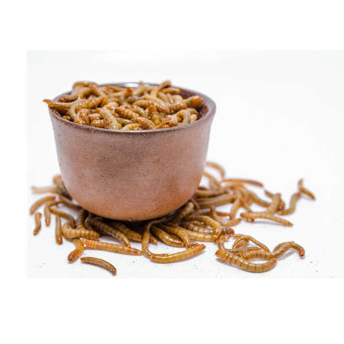 Dried Mealworms Vale Plastic Tub - M