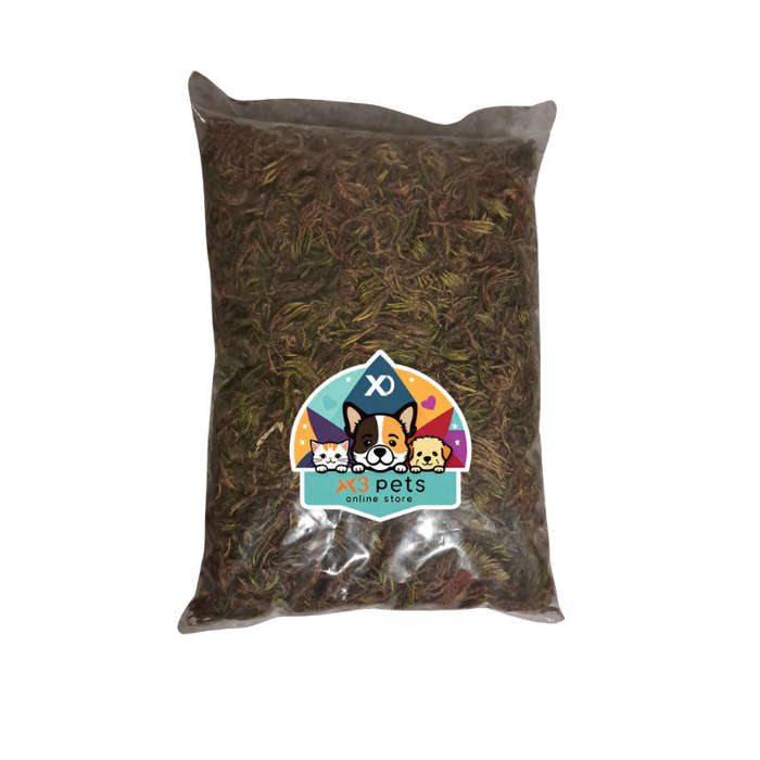 X 3 JUNGLE MOSS Bag 10L