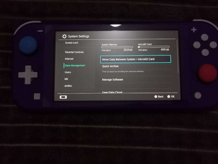 Nintendo switch lite