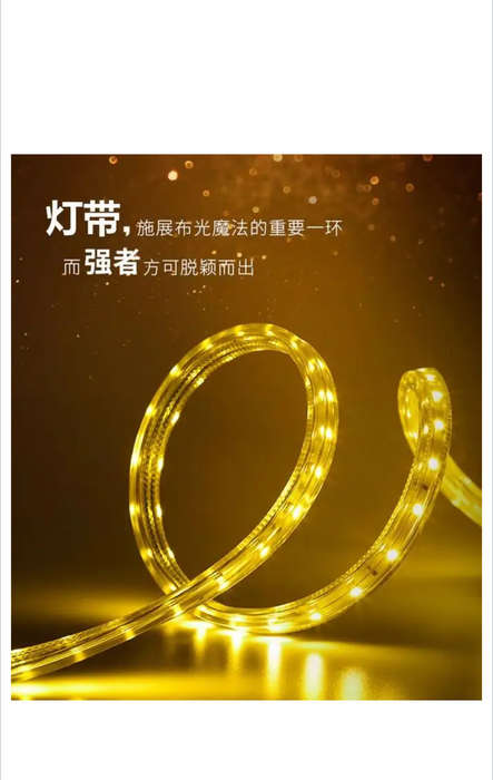 Warm White Strip LED Light 5050 -100M