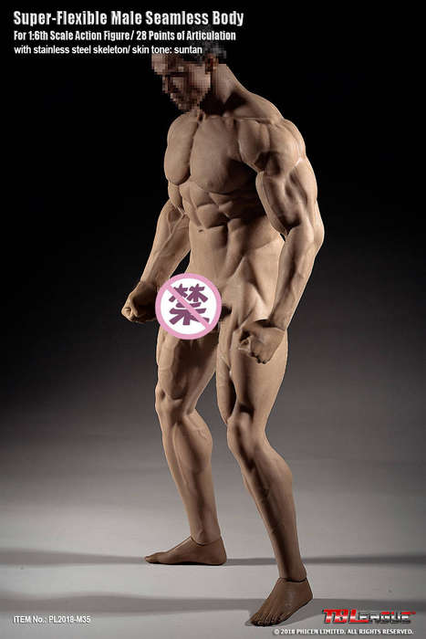 Mr Big (NO Head Sculpt) TBLeague 1/6th Scale Super Flexible male Action Figure-M35