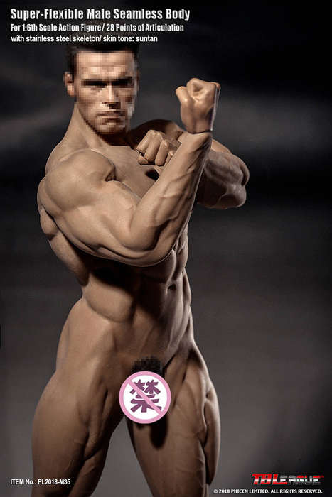 Mr Big (NO Head Sculpt) TBLeague 1/6th Scale Super Flexible male Action Figure-M35
