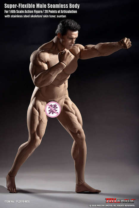 Mr Big (NO Head Sculpt) TBLeague 1/6th Scale Super Flexible male Action Figure-M35