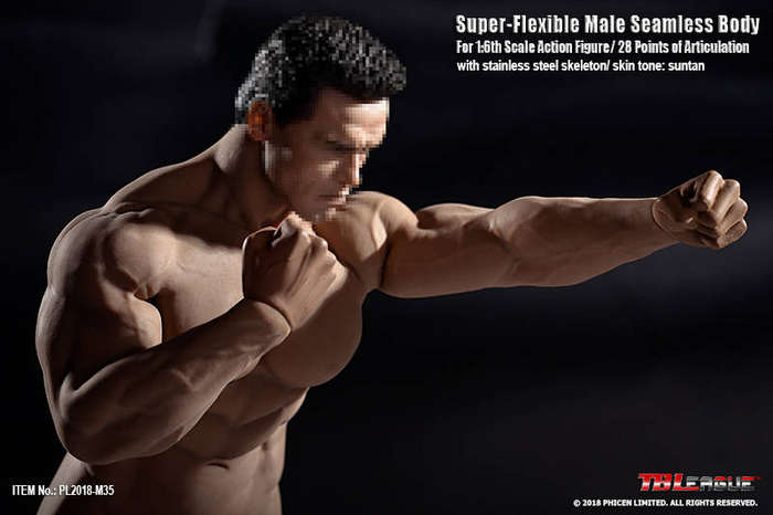 Mr Big (NO Head Sculpt) TBLeague 1/6th Scale Super Flexible male Action Figure-M35