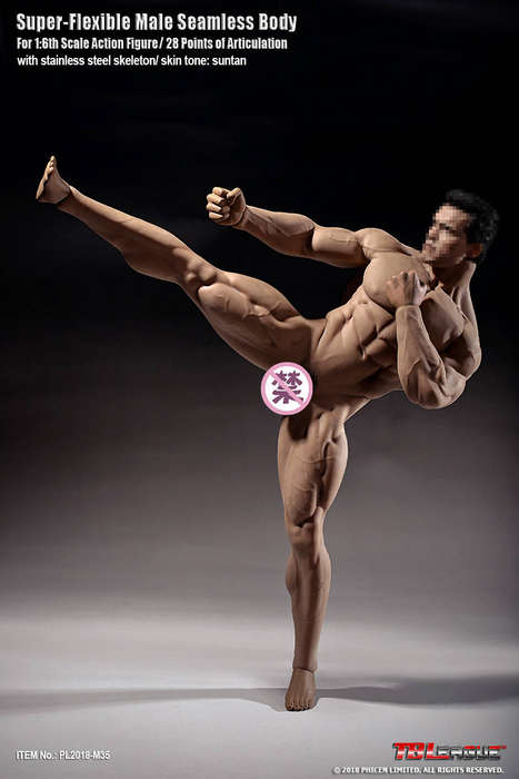 Mr Big (NO Head Sculpt) TBLeague 1/6th Scale Super Flexible male Action Figure-M35