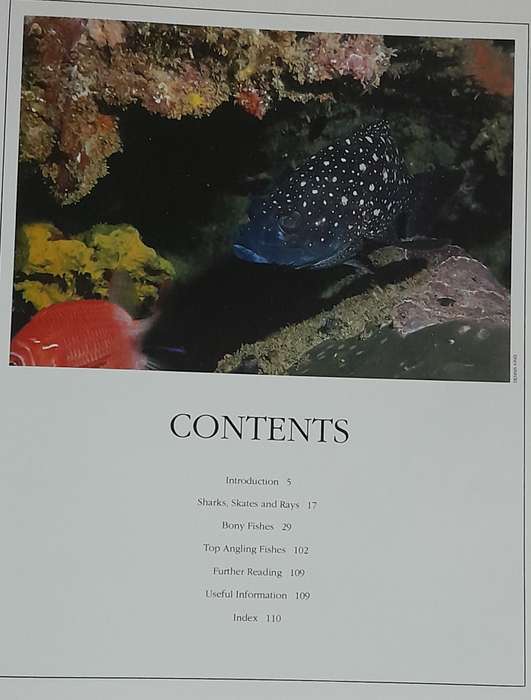 Fishing books -  set of four