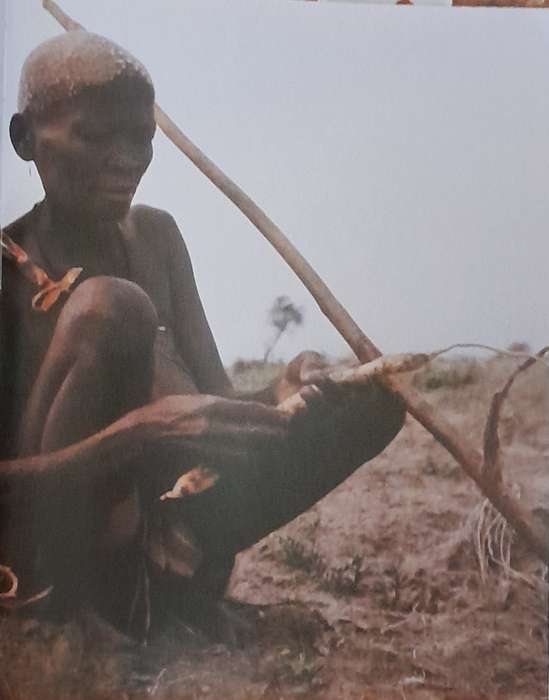 The Bushmen