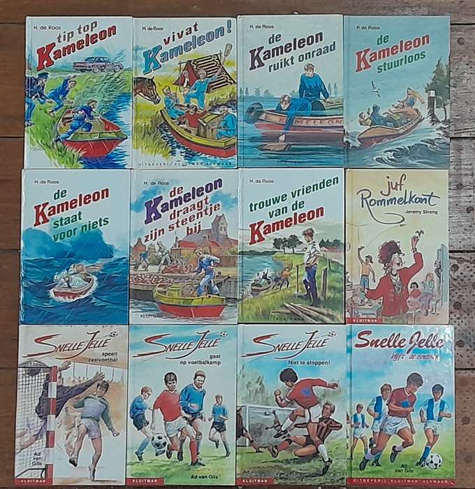 A set of 12 Dutch books for children