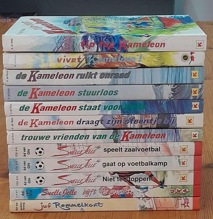 A set of 12 Dutch books for children