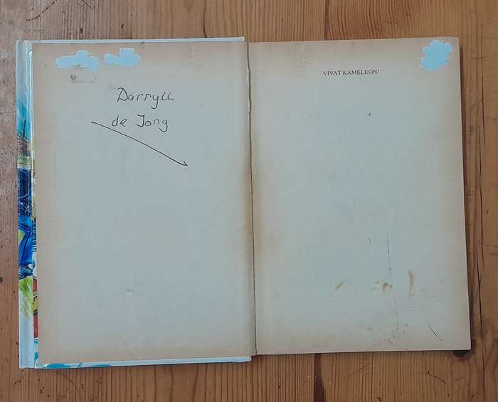 A set of 12 Dutch books for children