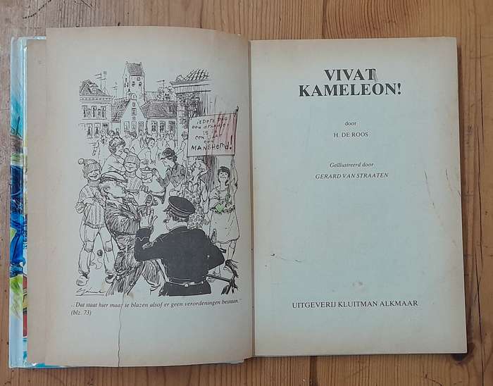 A set of 12 Dutch books for children