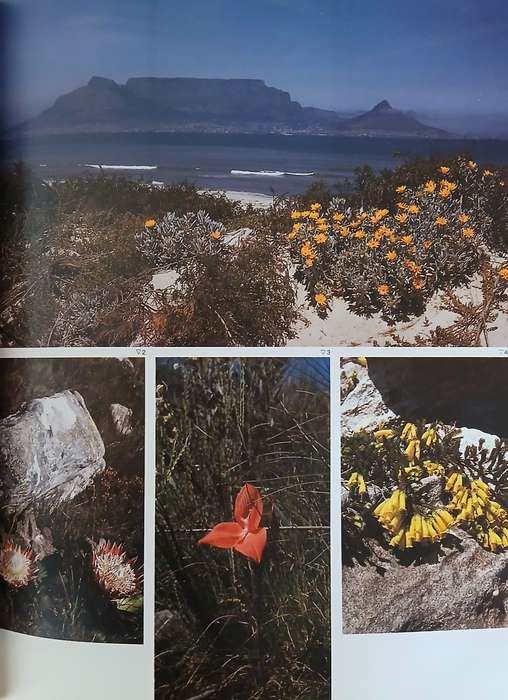 Mountain Odyssey in Southern Africa