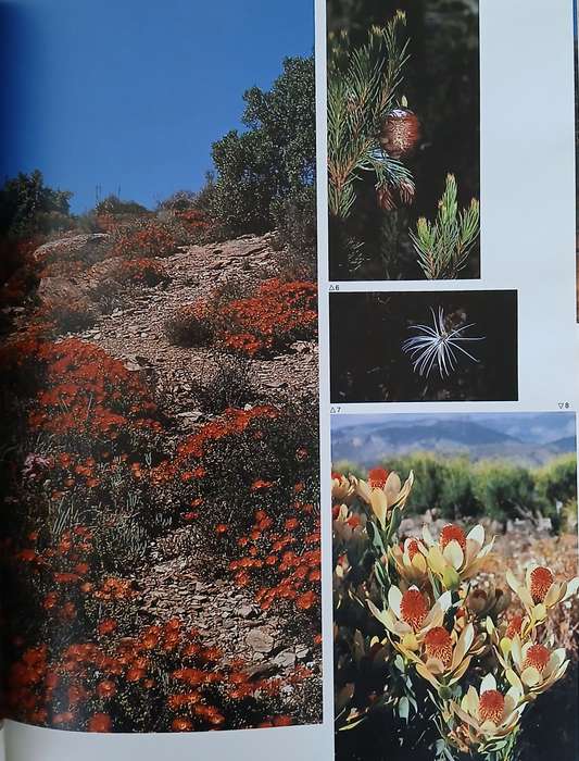 Mountain Odyssey in Southern Africa