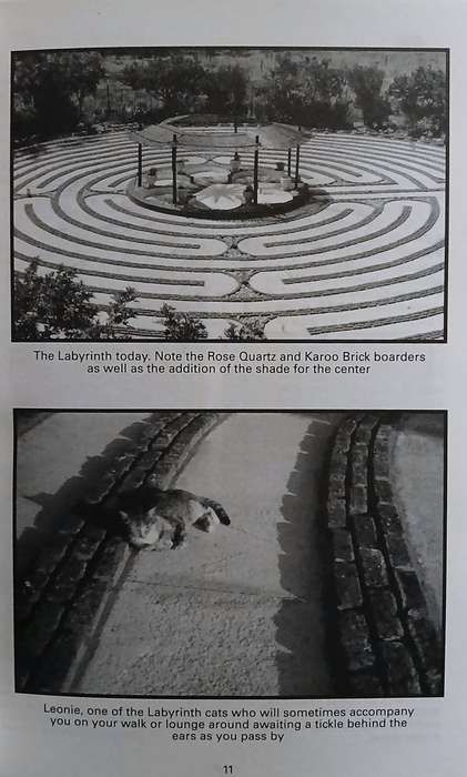 The Manger  - A Story Of Love And Interspecies Communication
