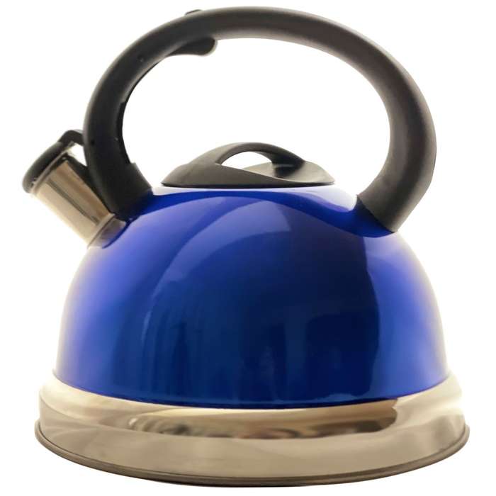Multi Coloured Stainless Steel Whistling Kettle (3L Capacity)