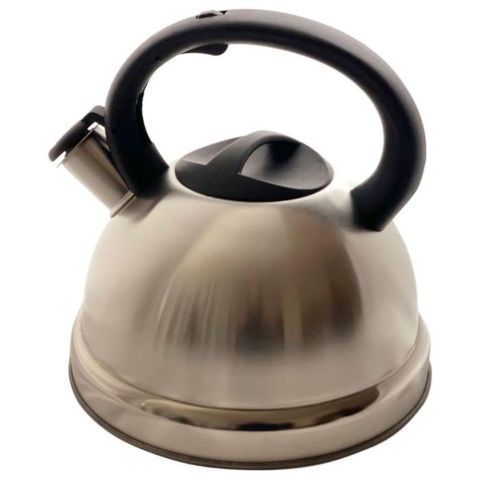 Multi Coloured Stainless Steel Whistling Kettle (3L Capacity)