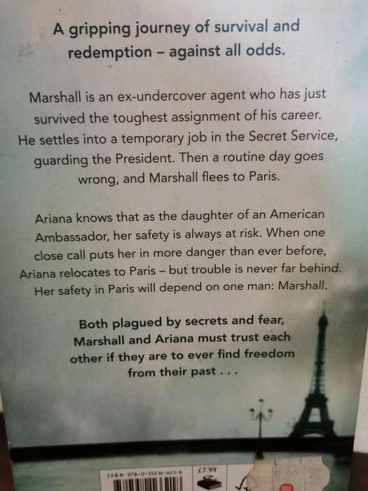 Undercover, novel by Danielle Steel