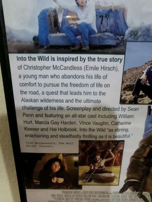 Into the Wild on DVD