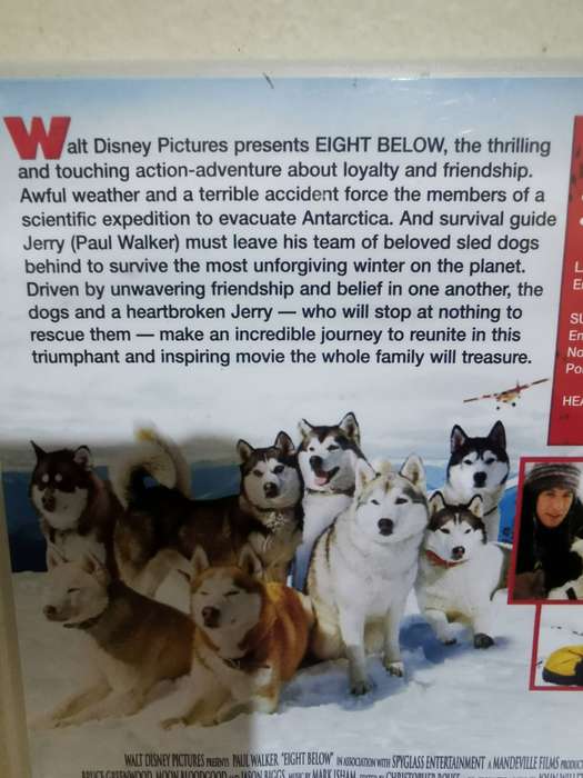 Eight Below on DVD